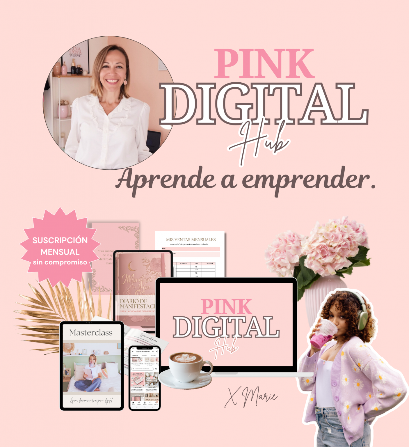 Pink Hub Pink Digital Hub: Membresía para negocios digitales - Pink Seed marketing